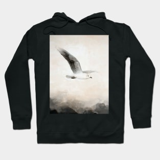 Soar Hoodie